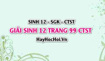 Giải Sinh 12 trang 99 Chân trời sáng tạo SGK